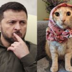 Μήπως η γάτα σας είναι κατάσκοπος των Ρώσων;